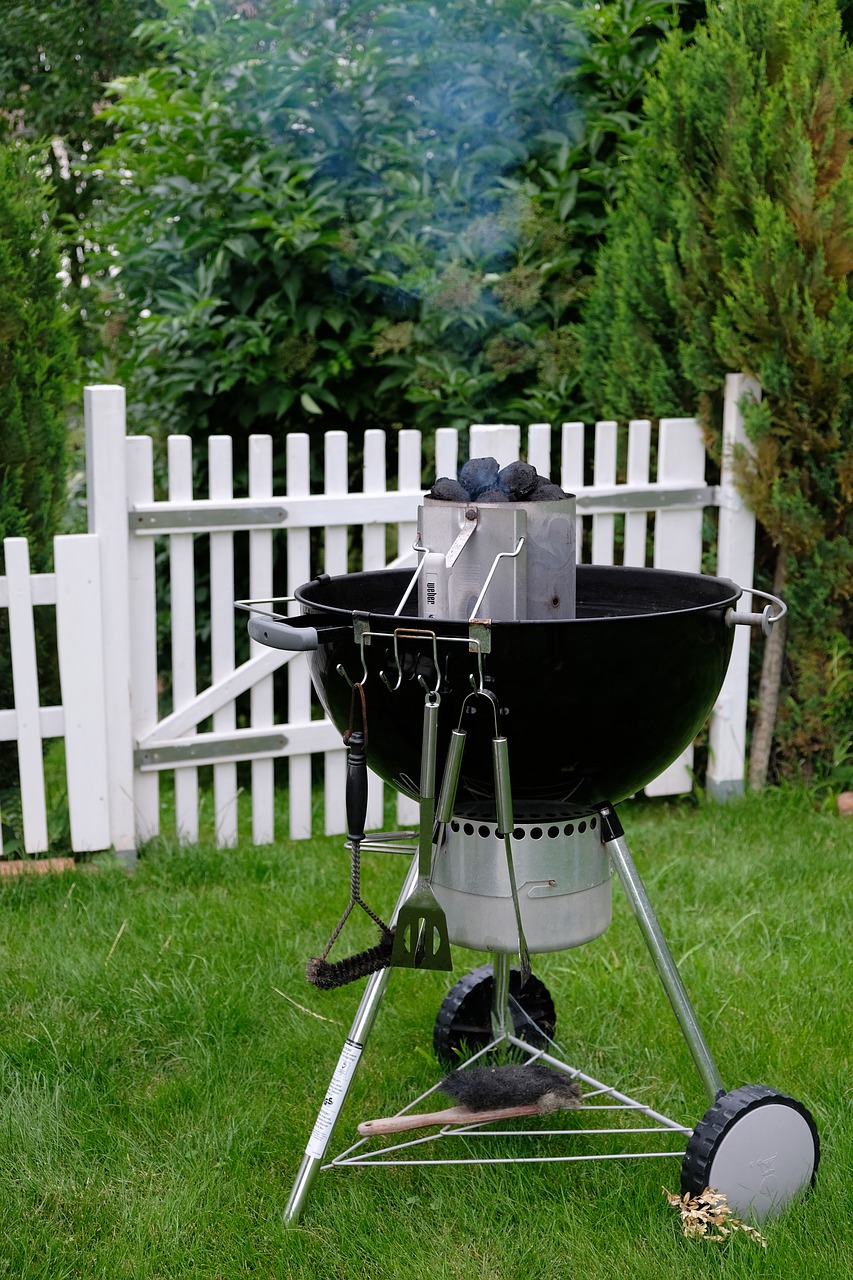 Image - grill barbecue ball grill weber