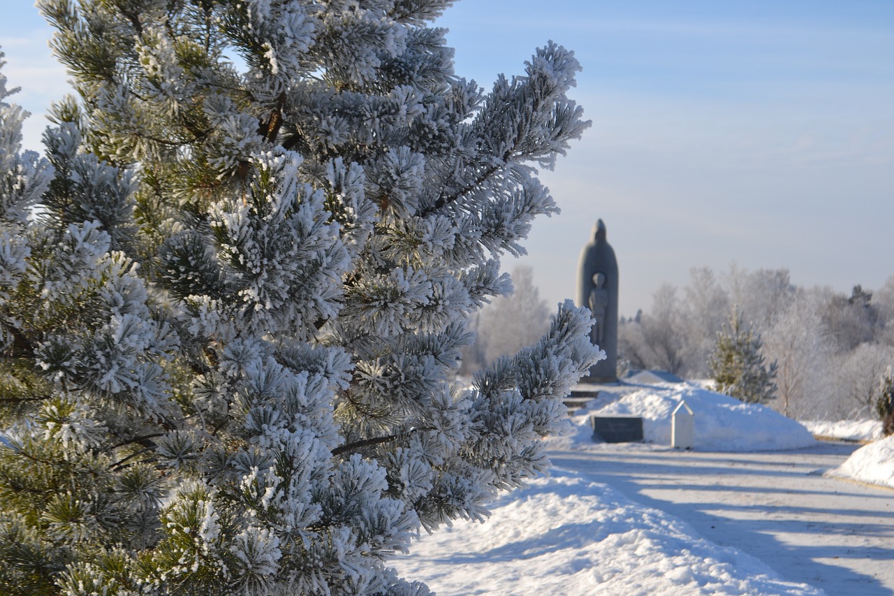 Image - russia nature road trees winter