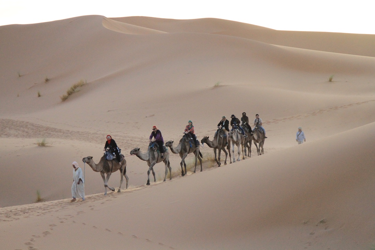 Image - desert sahara moroccan