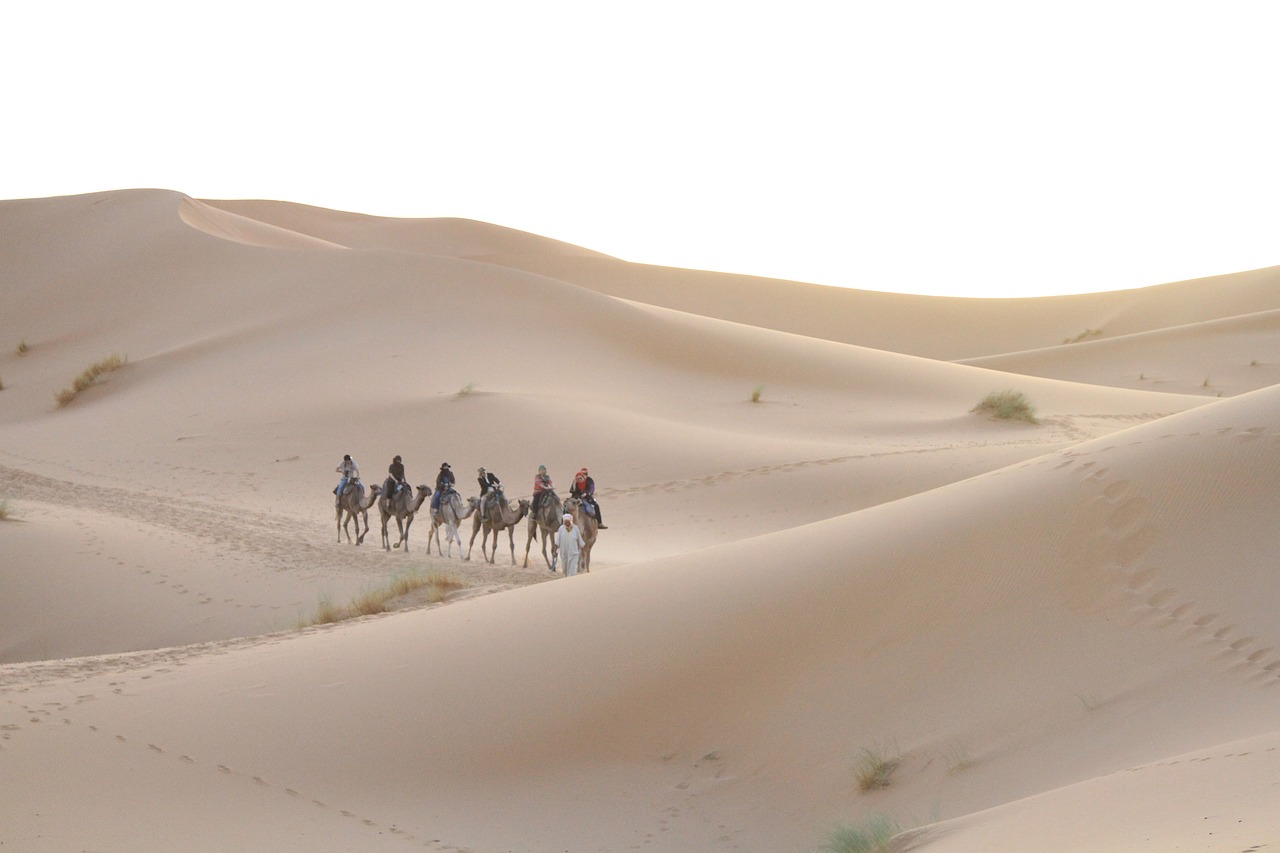 Image - desert sahara moroccan