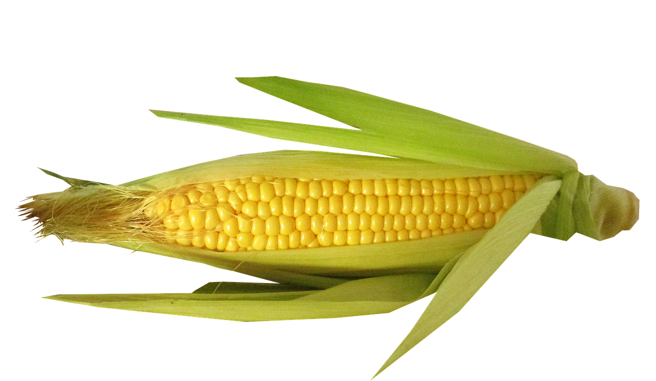 Image - vegetable corn cut out