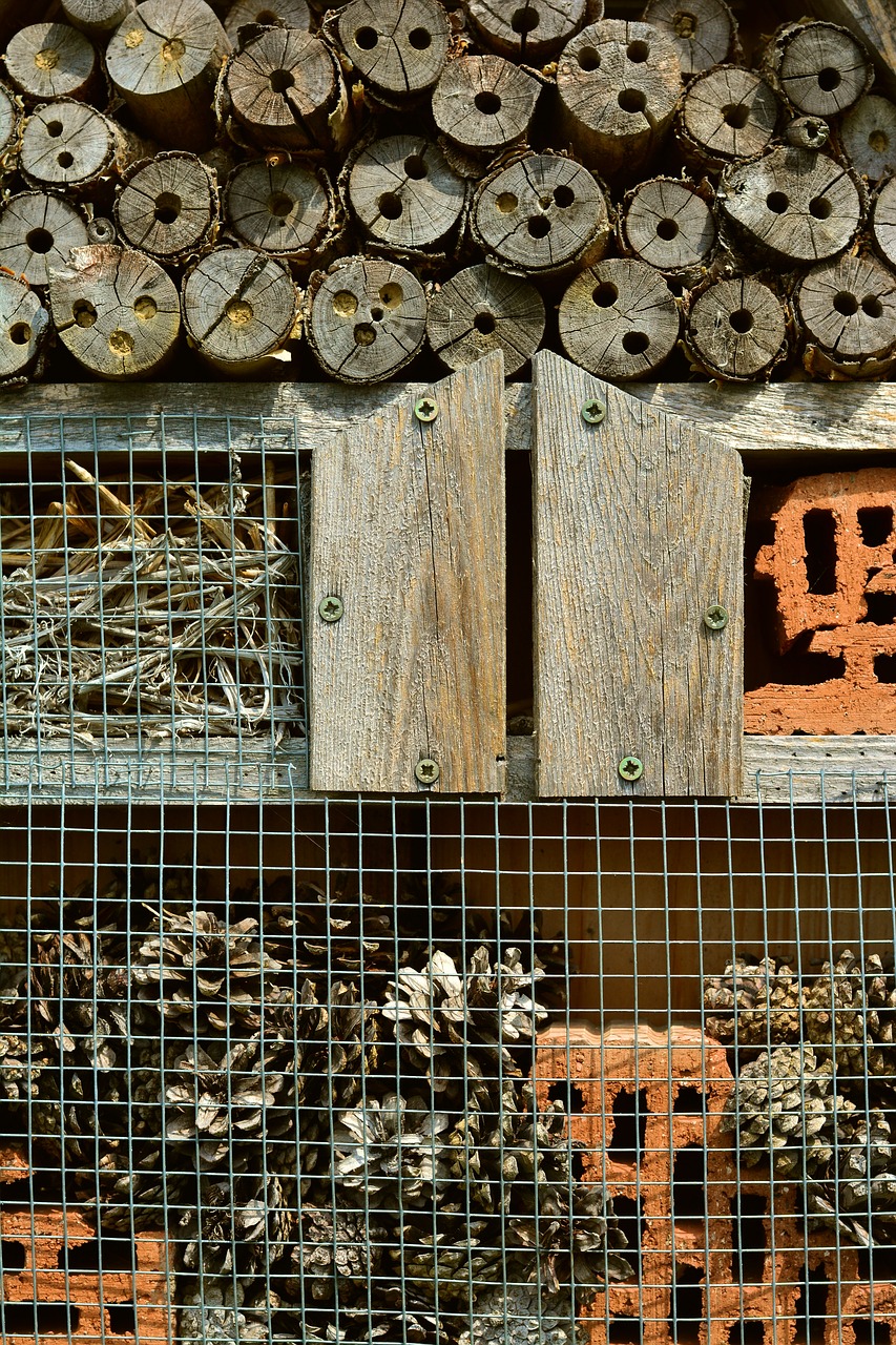 Image - insect hotel wood perforated