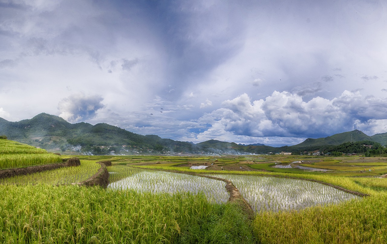 Image - vietnam dienbien landscape