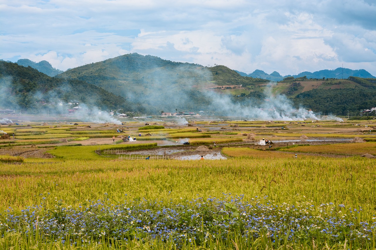 Image - vietnam dienbien landscape