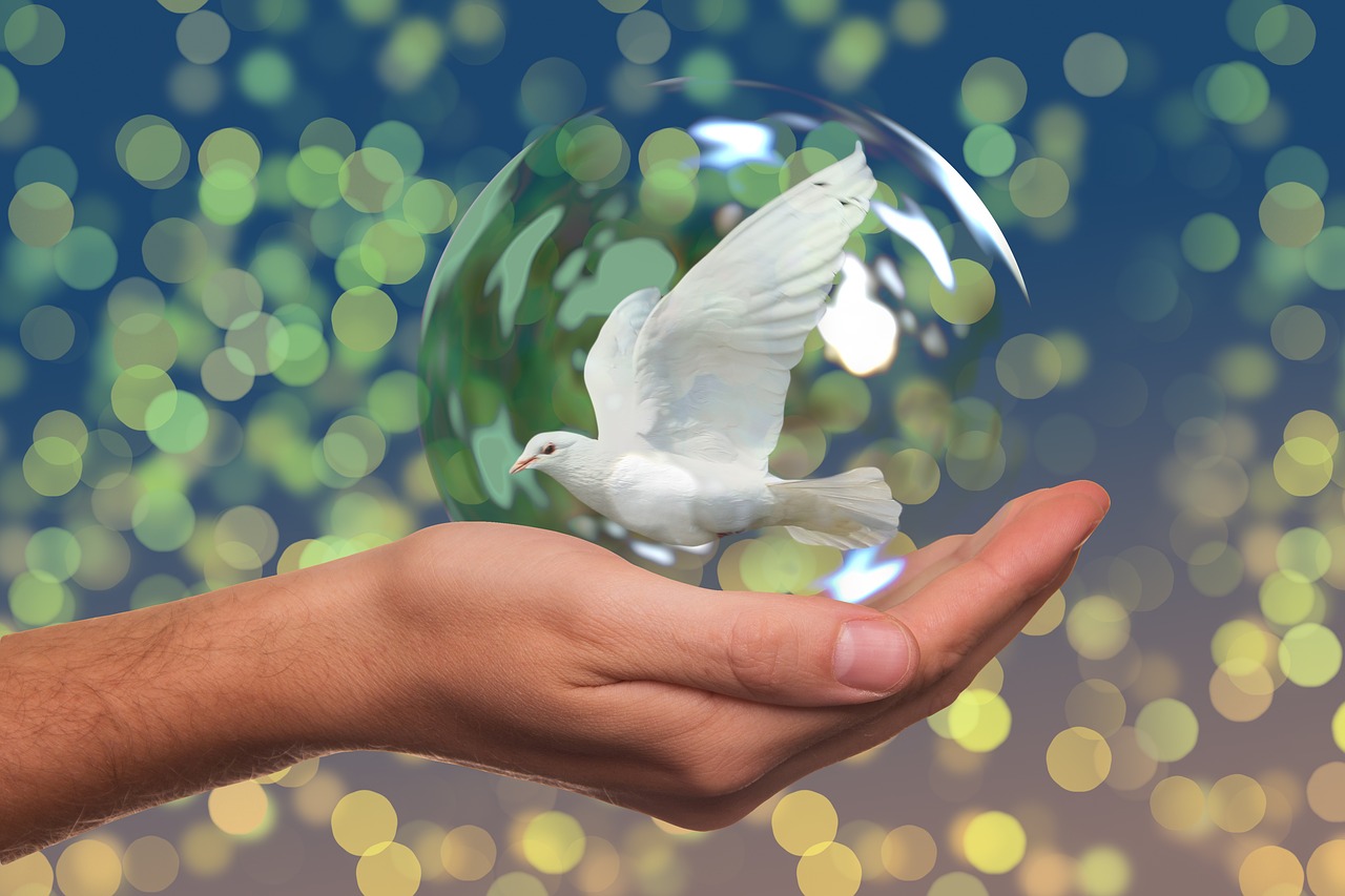 Image - peace dove harmony dove hand keep