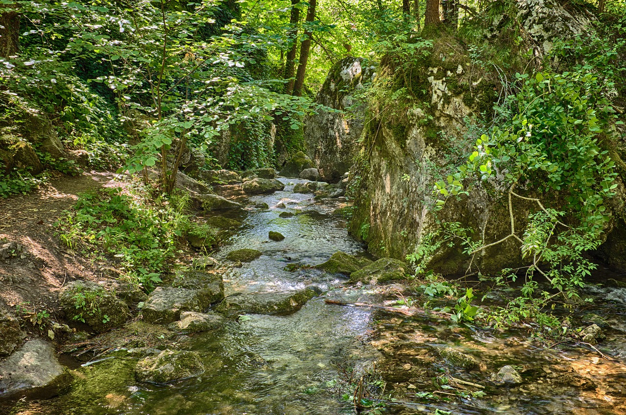 Image - bach idyllic rock splash leaves