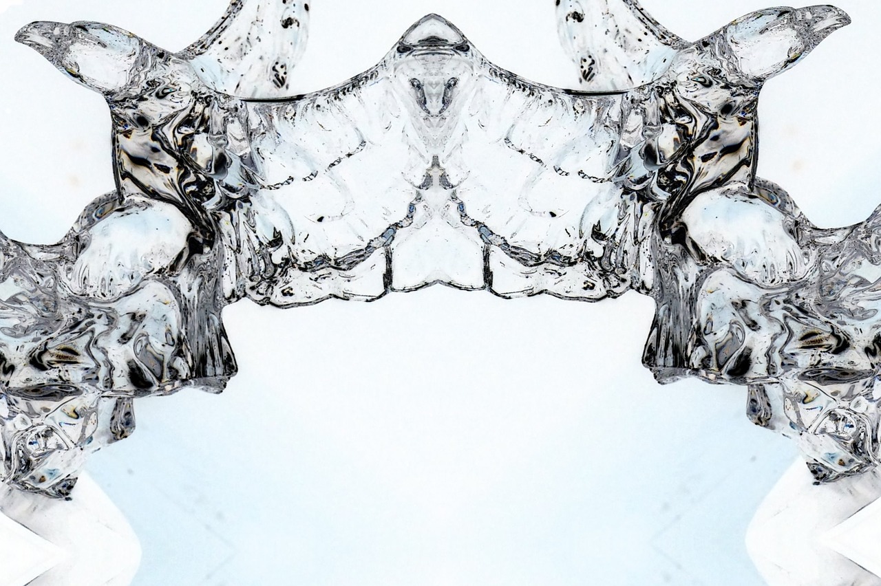 Image - design hidden faces pattern bird