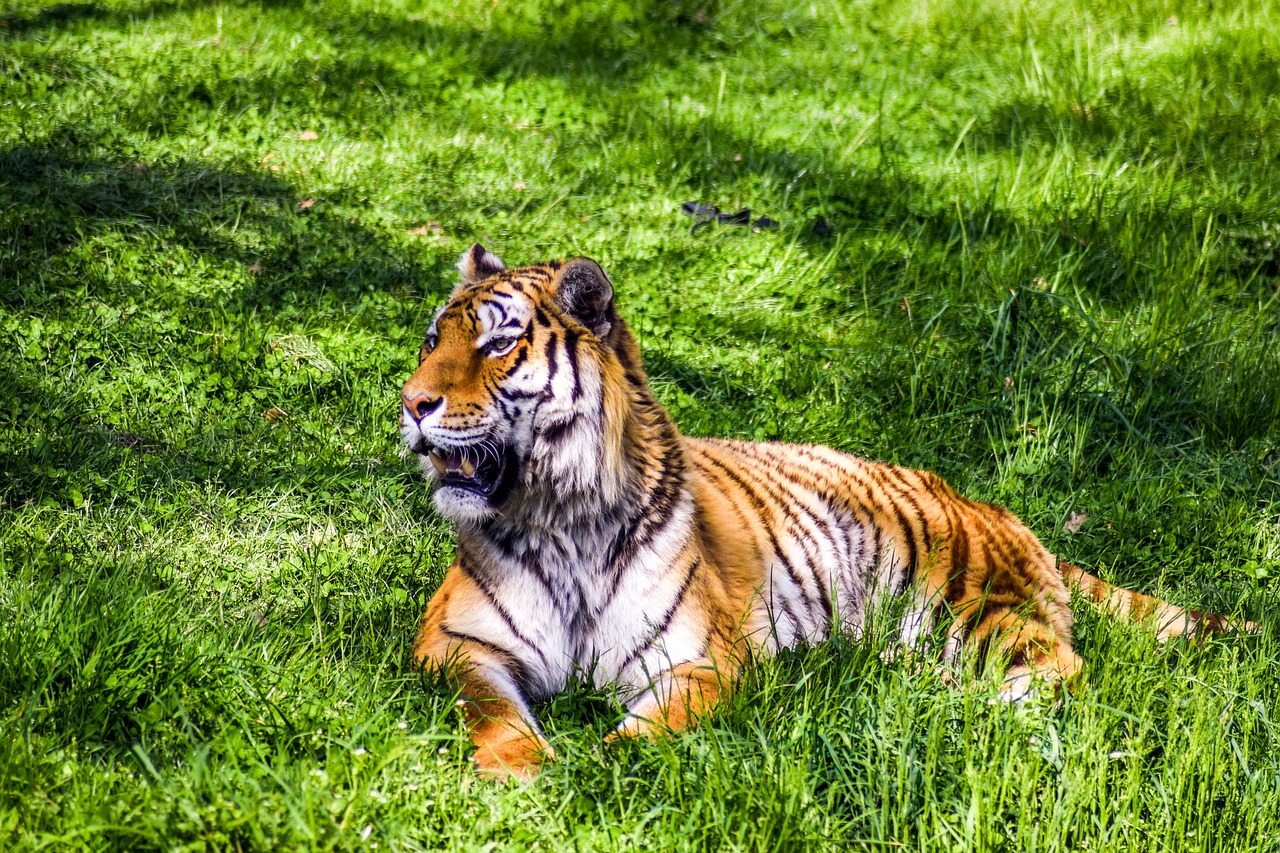 Image - zoo paugres ardeche animals visit