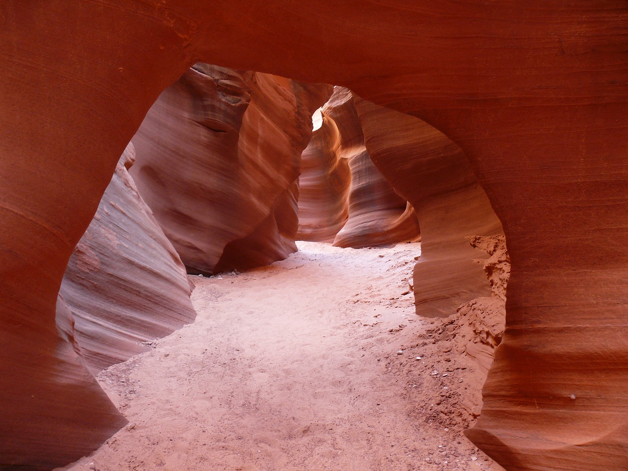 Image - arizona rattlesnake canyon desert