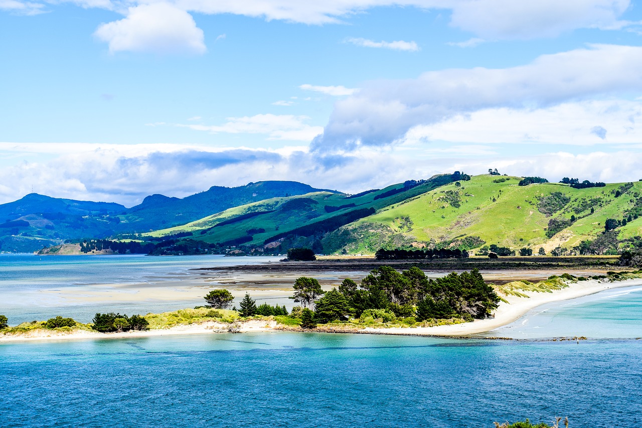 Image - new zealand dunedin beach ocean