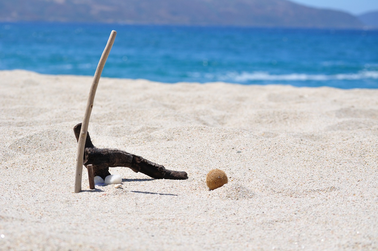 Image - sea beach sand sun shell pebbles