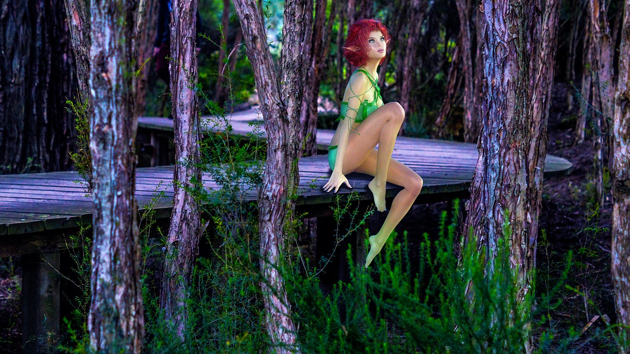 Image - elf fantasy boardwalk fee