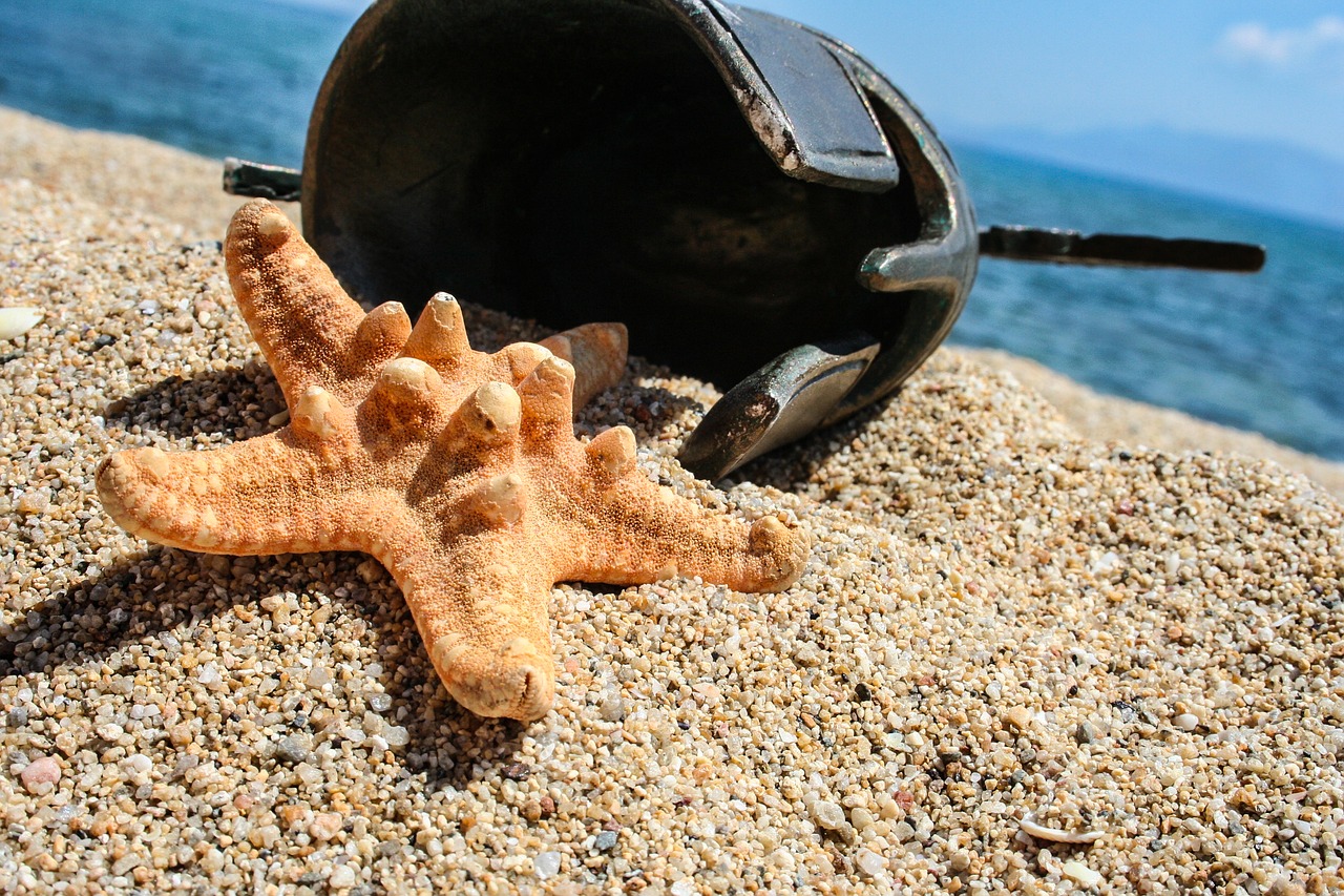 Image - sea star beach greek helmet