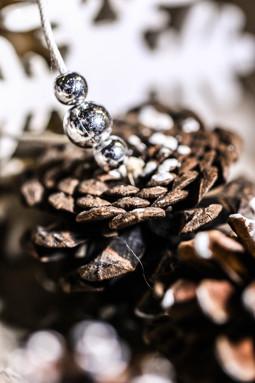 Image - pinecone cone pearls decoration