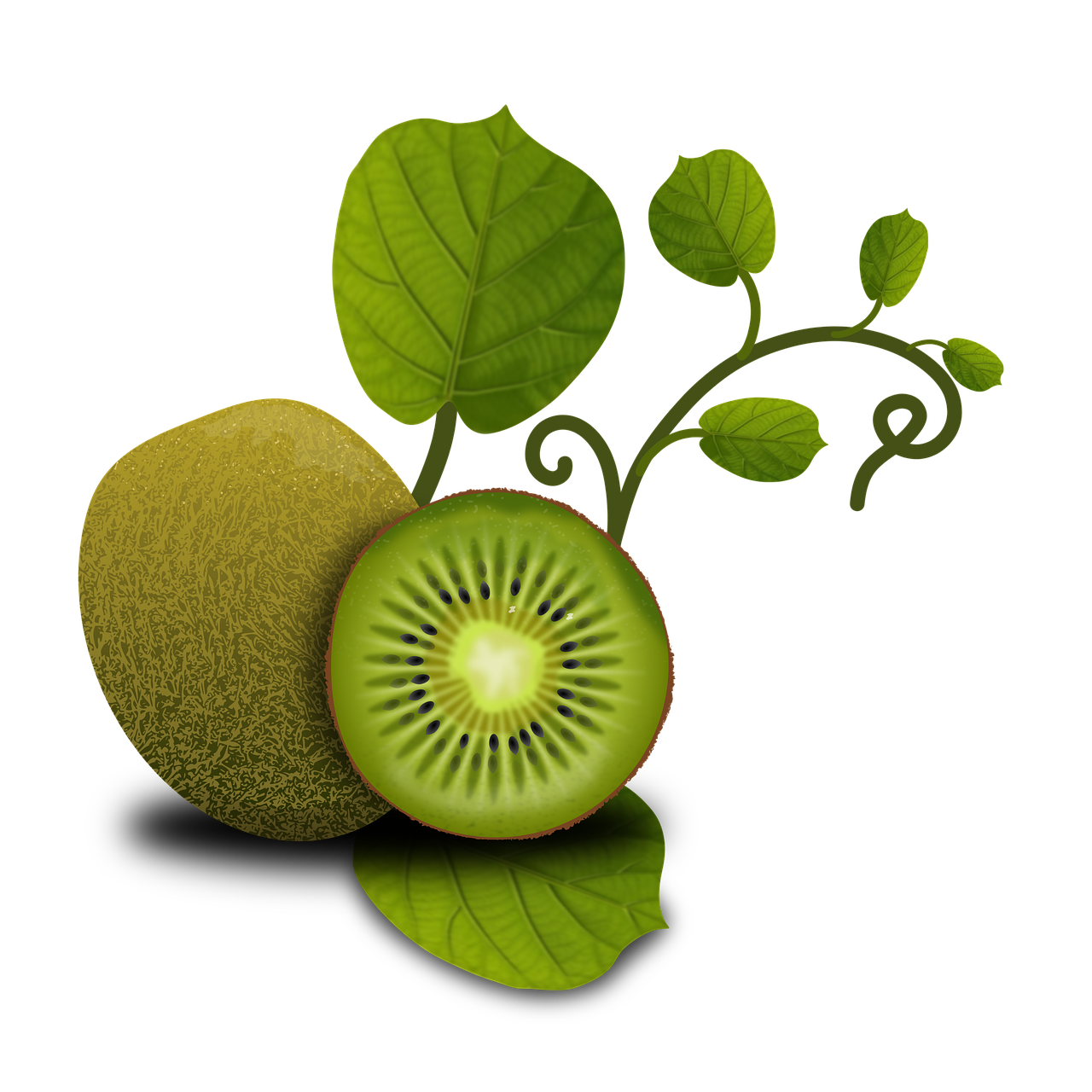 Image - fruits kiwi tropical plants