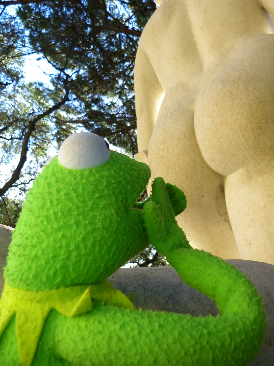 Image - kermit frog amazed butt look