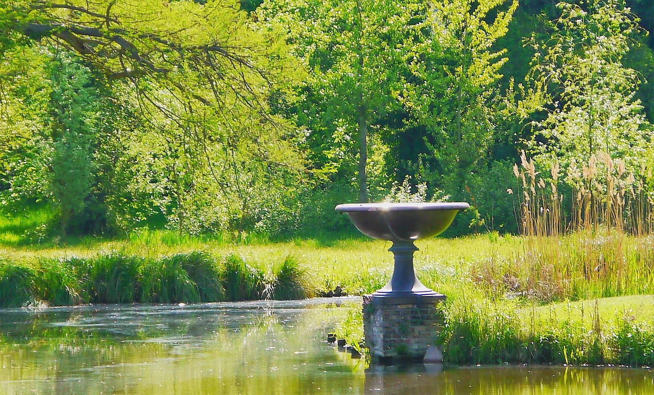 Image - pond waters lake landscape plant