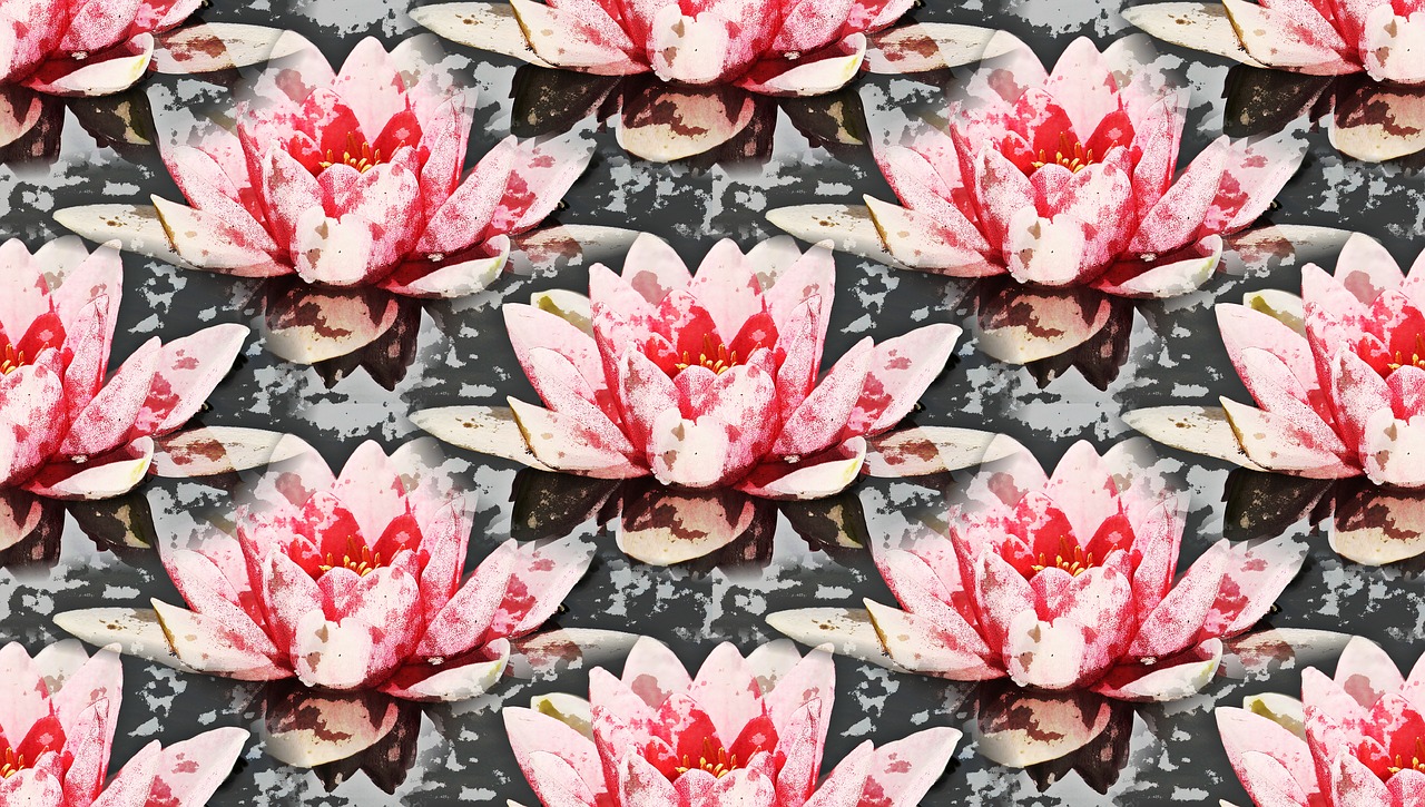 Image - water lily background pattern