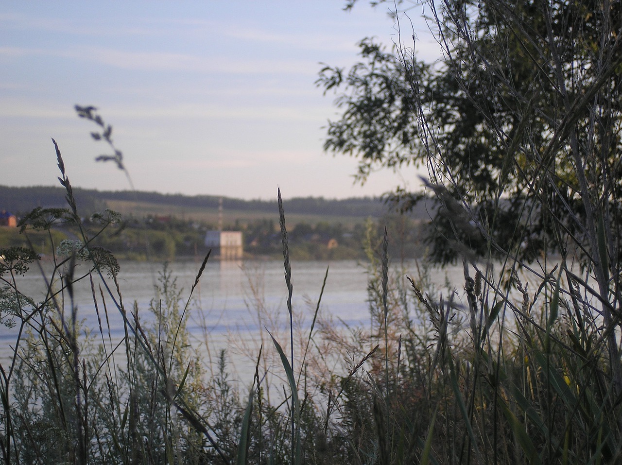 Image - river beach grass sky branch