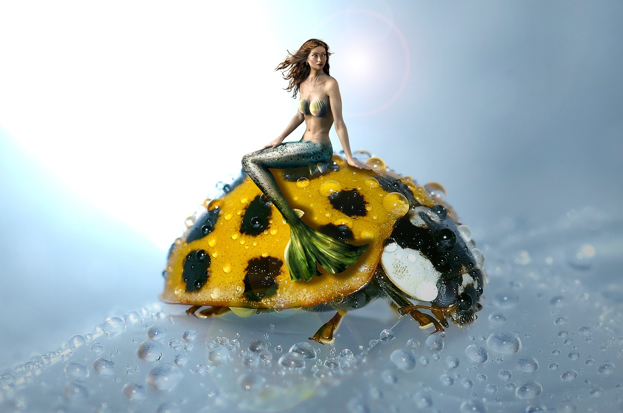 Image - mermaid ladybug water creature