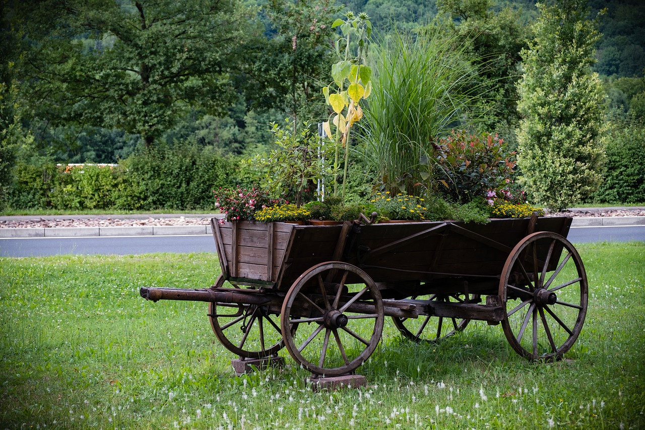 Image - dare coach wheel wagon