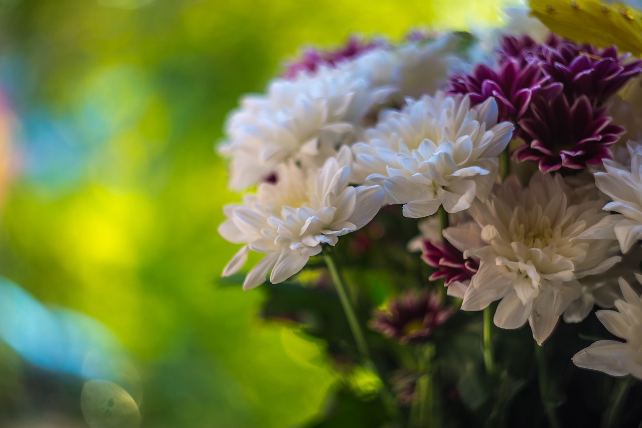 Image - flowers flowers of the field bouquet