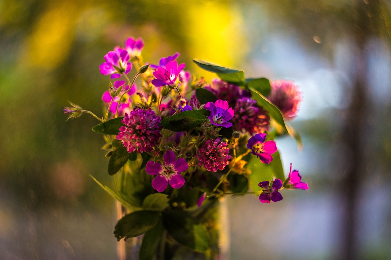 Image - flowers flowers of the field bouquet