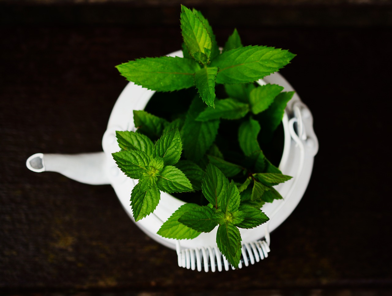 Image - peppermint medicinal plant