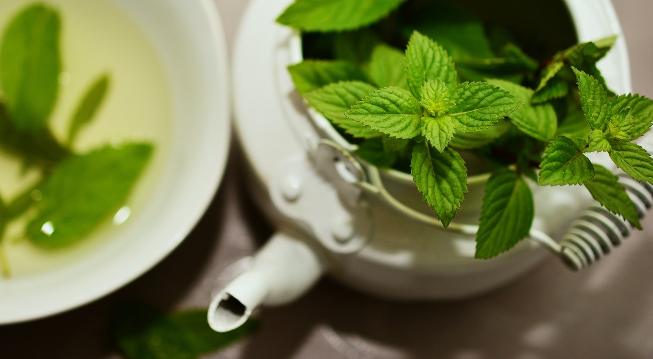 Image - peppermint medicinal plant