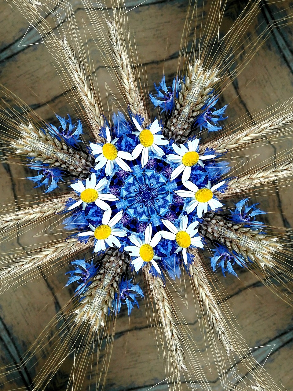 Image - cornflowers chamomile spikes summer