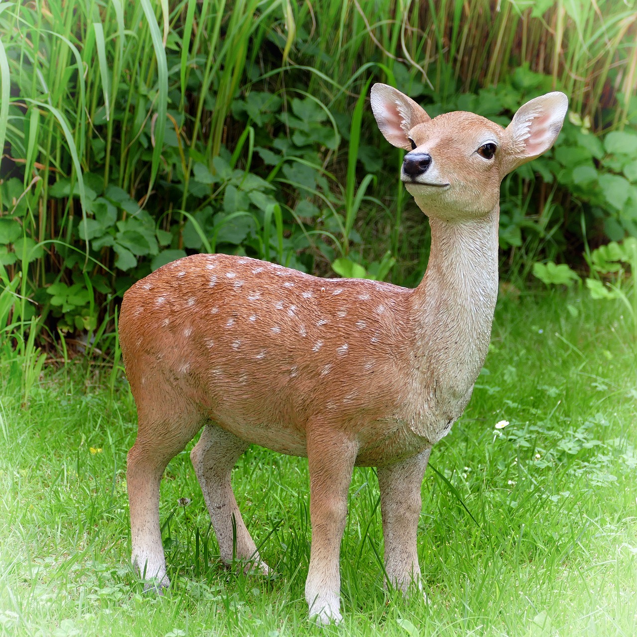 Image - fawn roe deer decoration garden