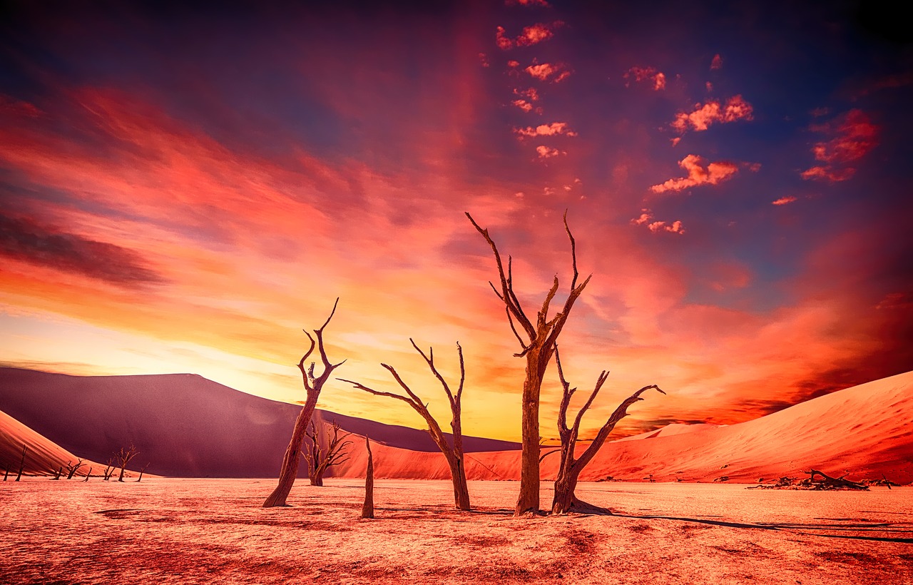 Image - desert arid dry drought landscape