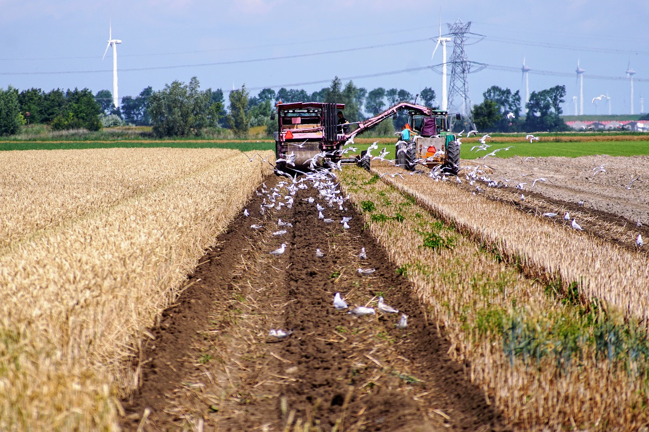 Image - farmer tractor seagulls