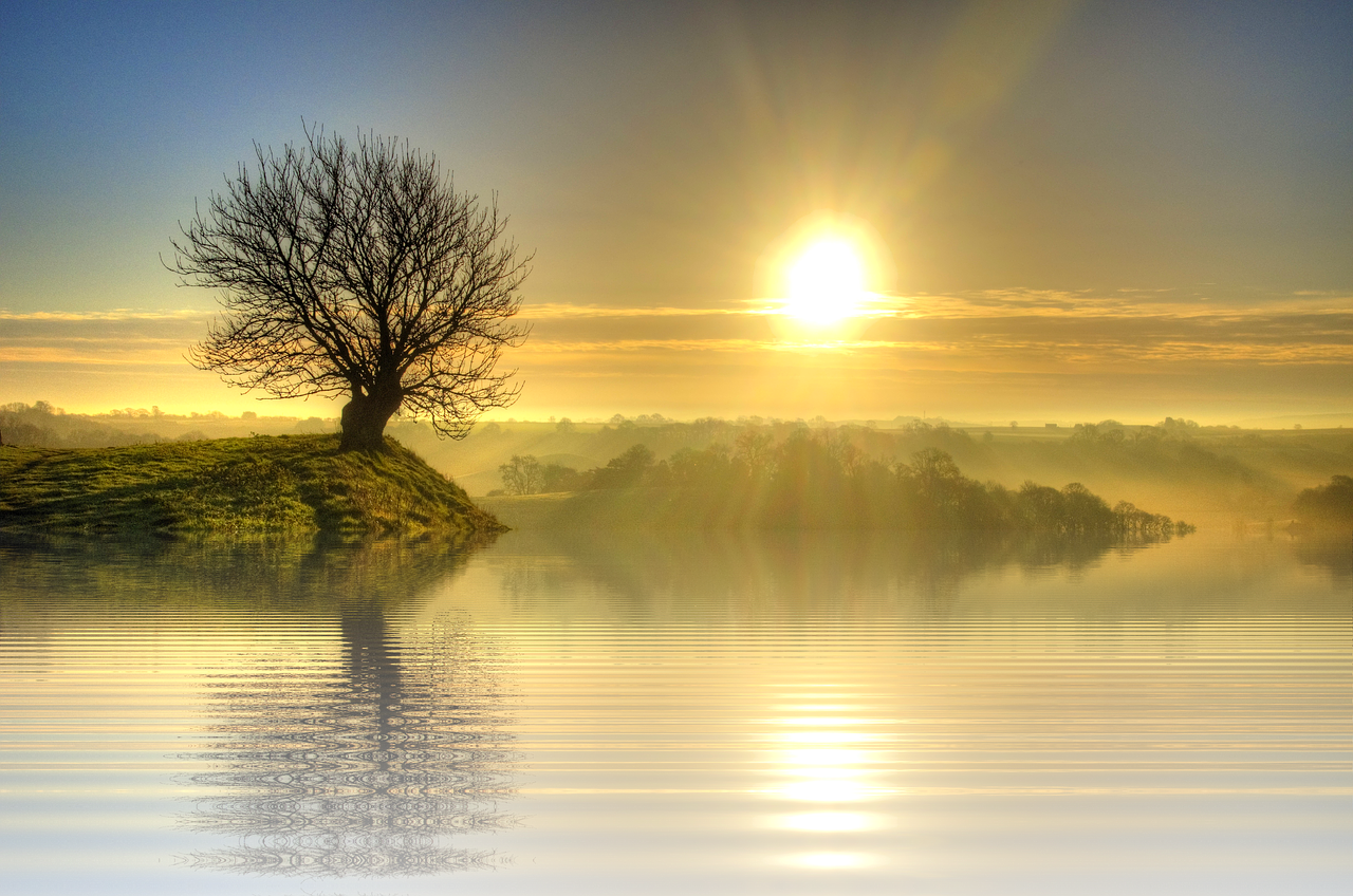 Image - sunset holiday sun nature tree