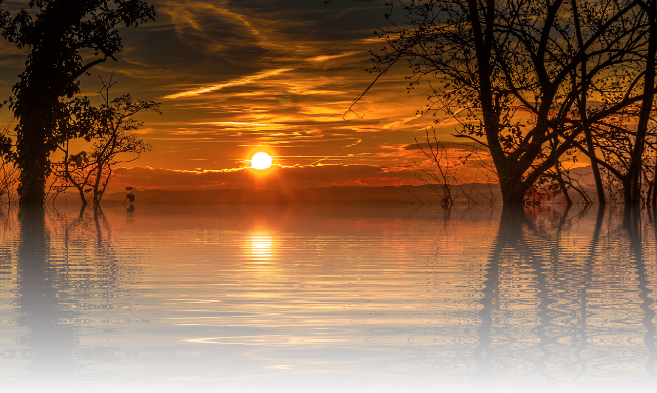 Image - sunset holiday sun nature tree