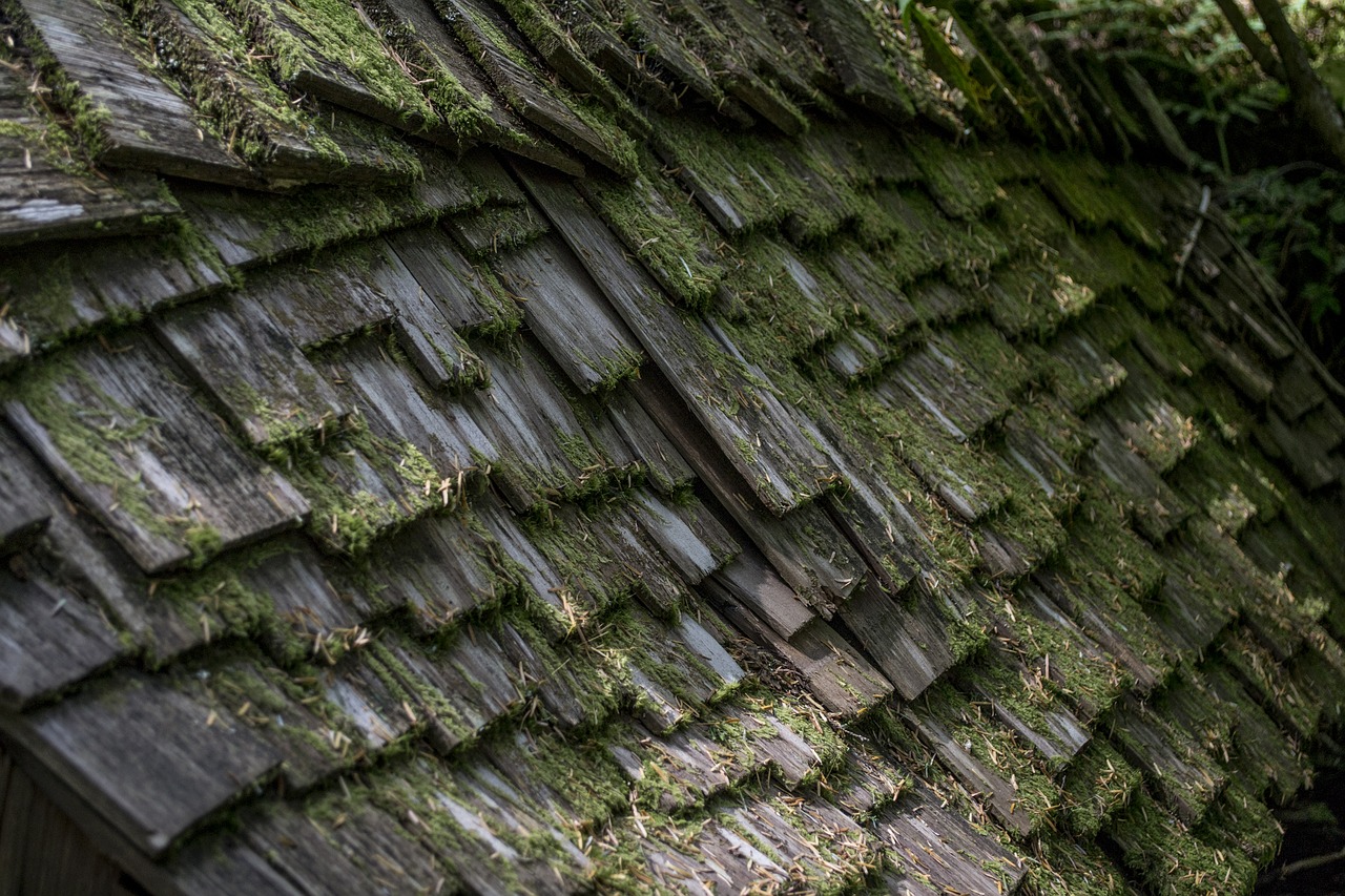 Image - wood shingle layer layered worn