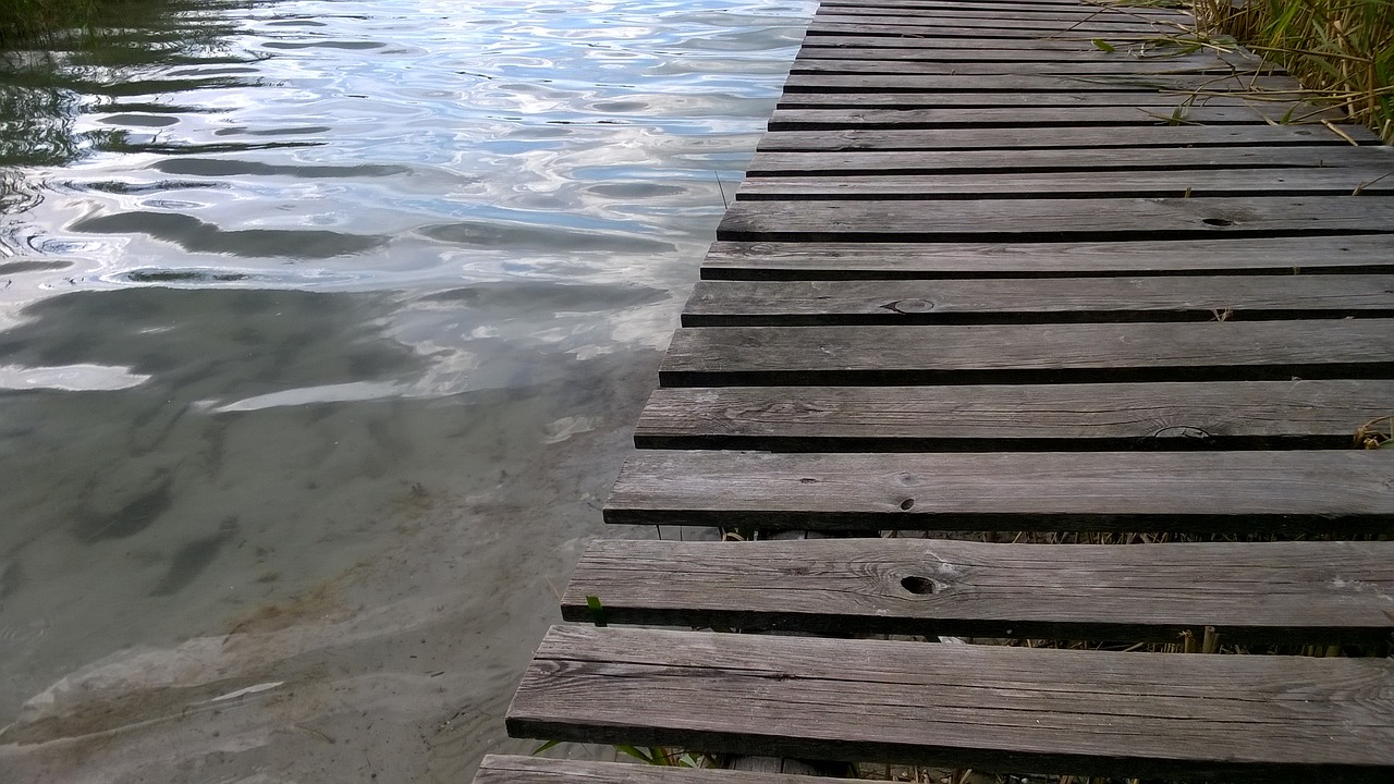 Image - lake meadow water poland
