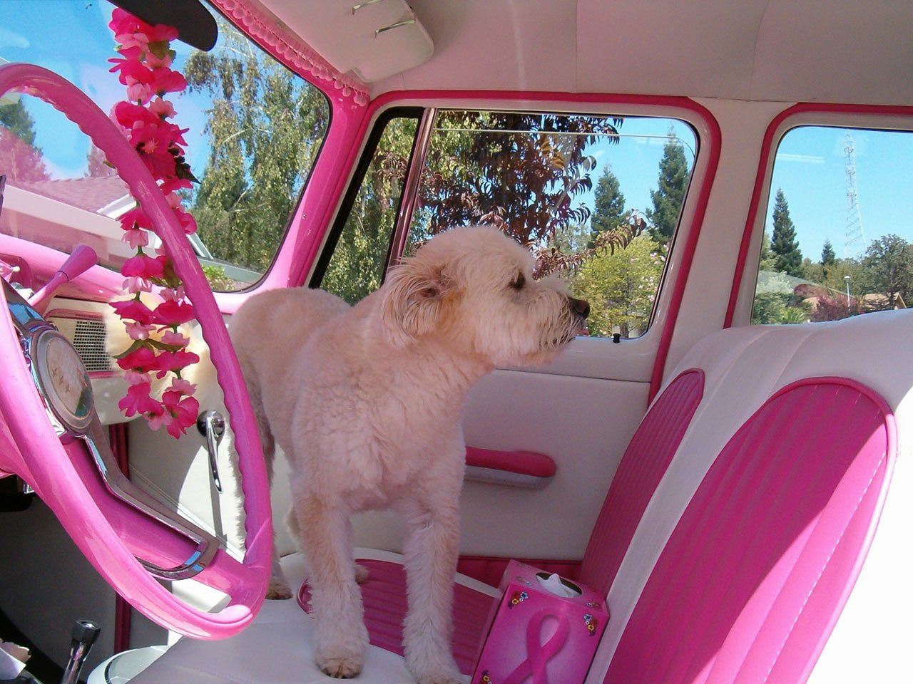 Image - girly pink car interior cute