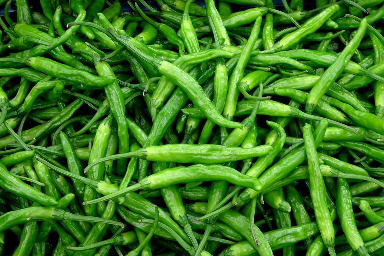 Image - pepper spicy chengyang