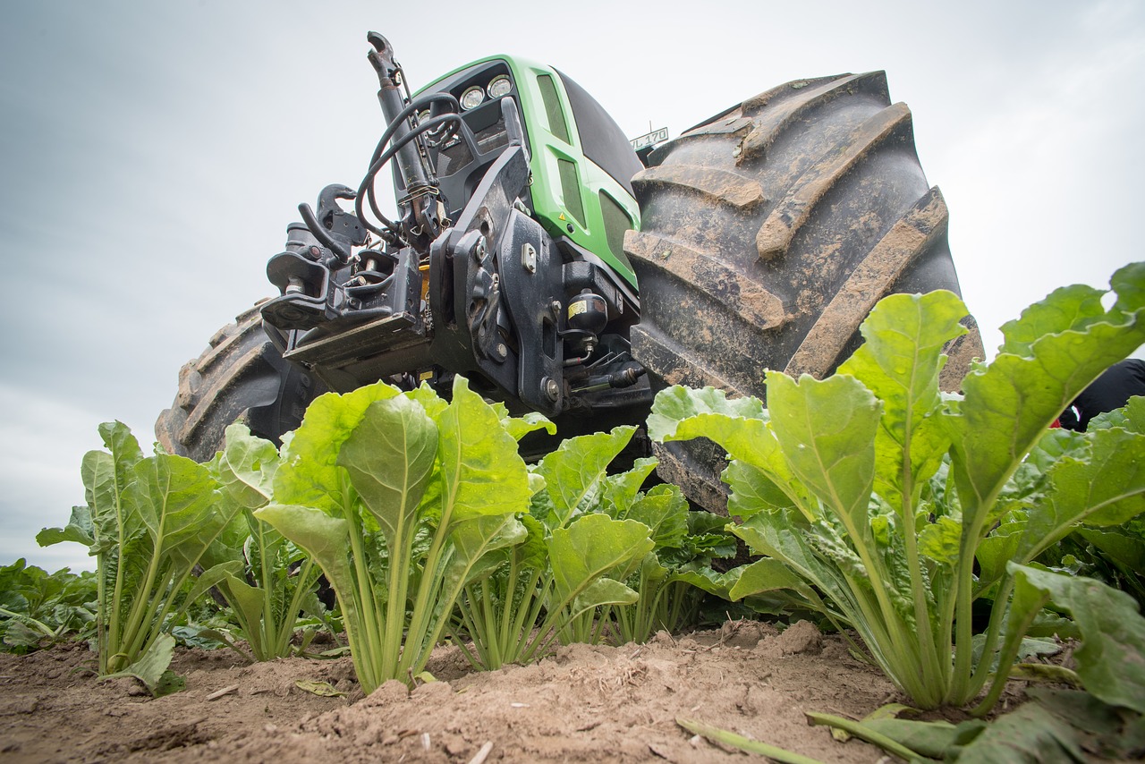 Image - sugar beet agriculture tractor