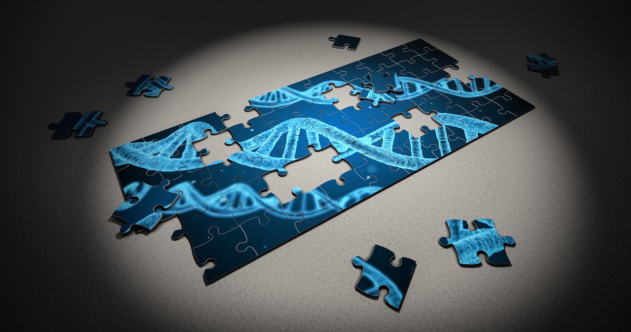 Image - puzzle dna research genetic piece