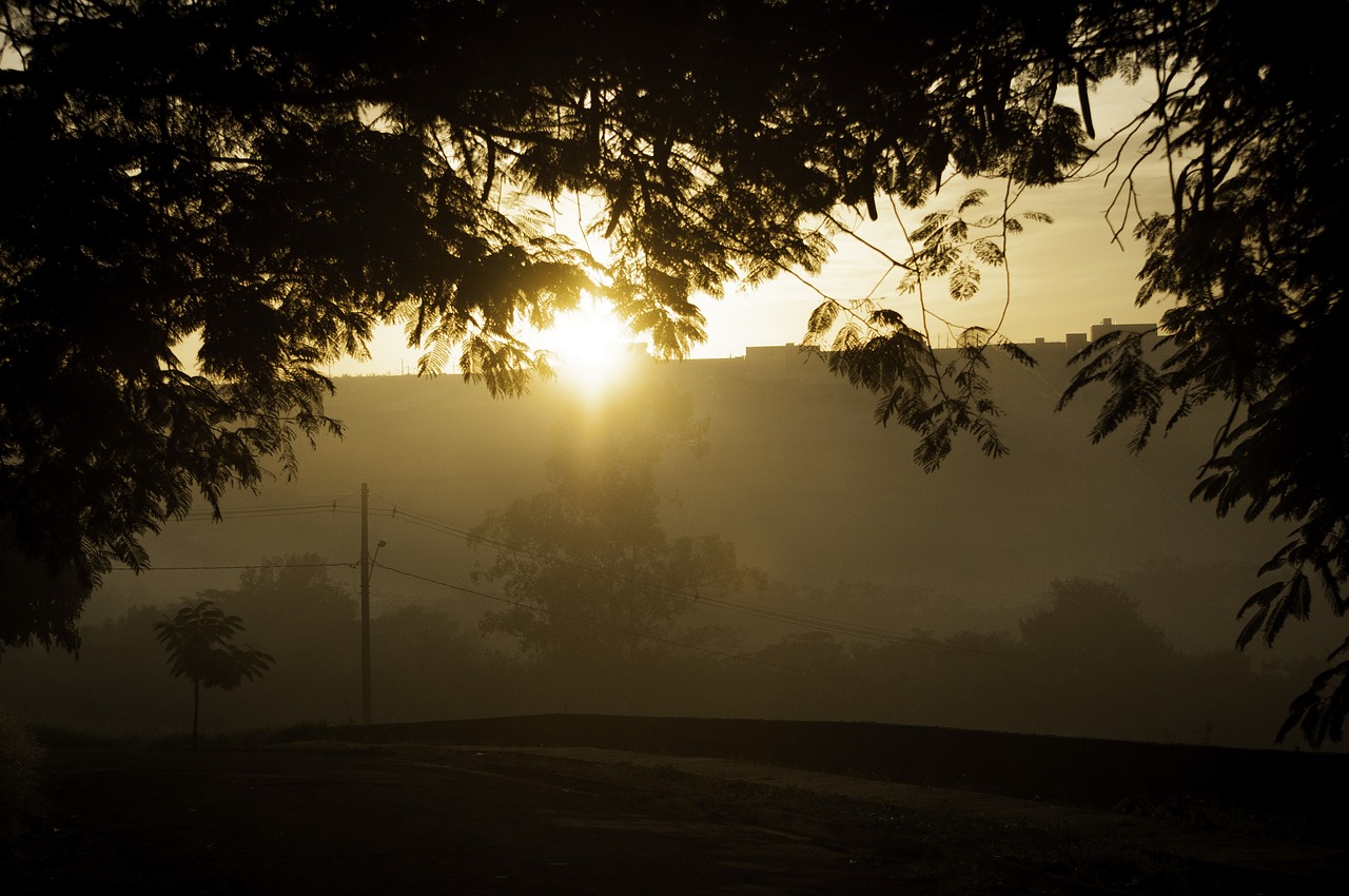 Image - sunrise shadow nature three