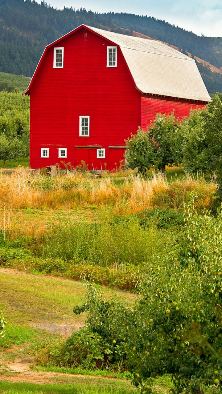 Image - red barn oregon