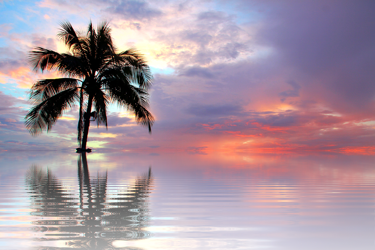 Image - sunset sea nature sun isolated