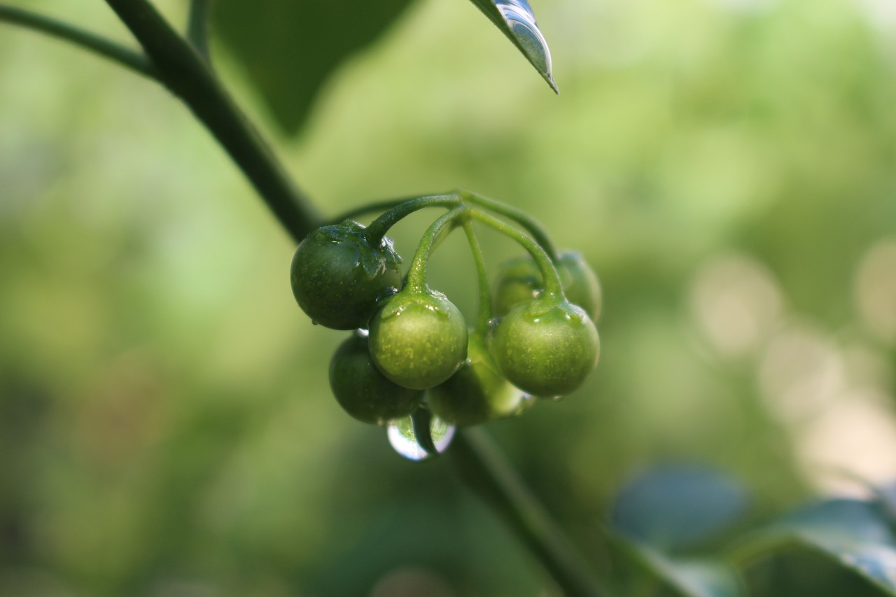 Image - summer cool water droplets