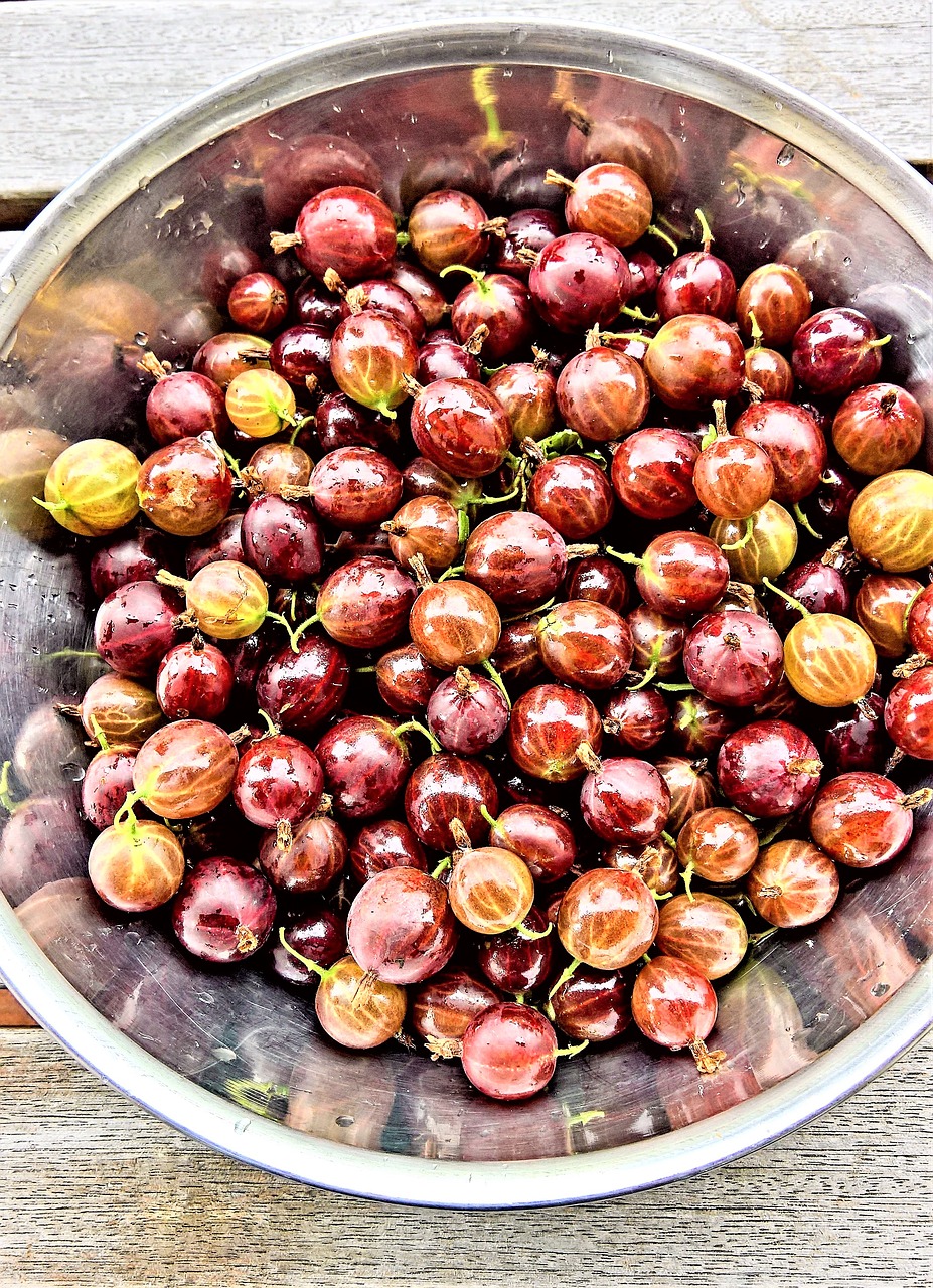 Image - red gooseberries fruits soft fruit