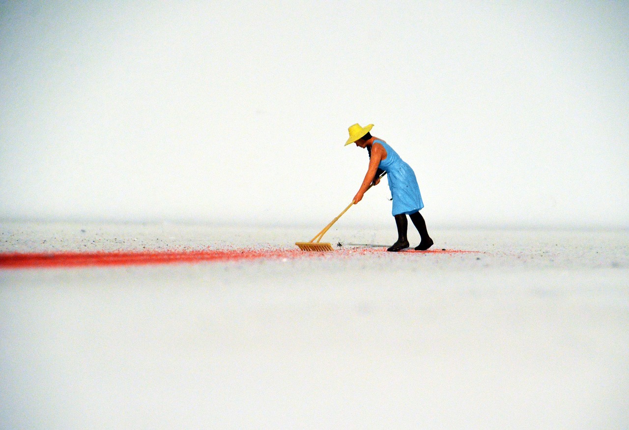 Image - computing gardener miniature broom