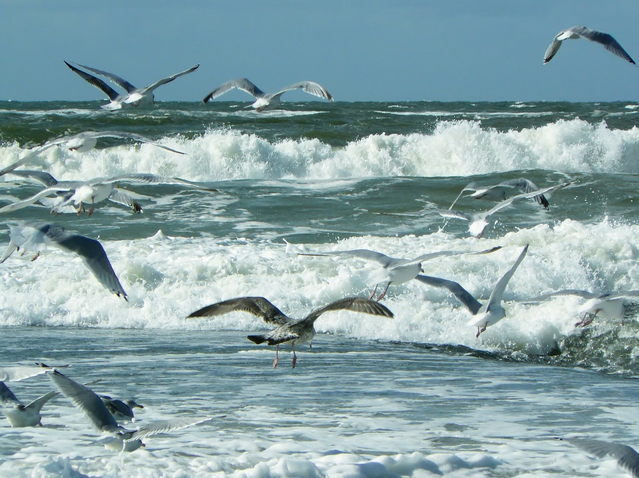 Image - sea beach wave north sea water
