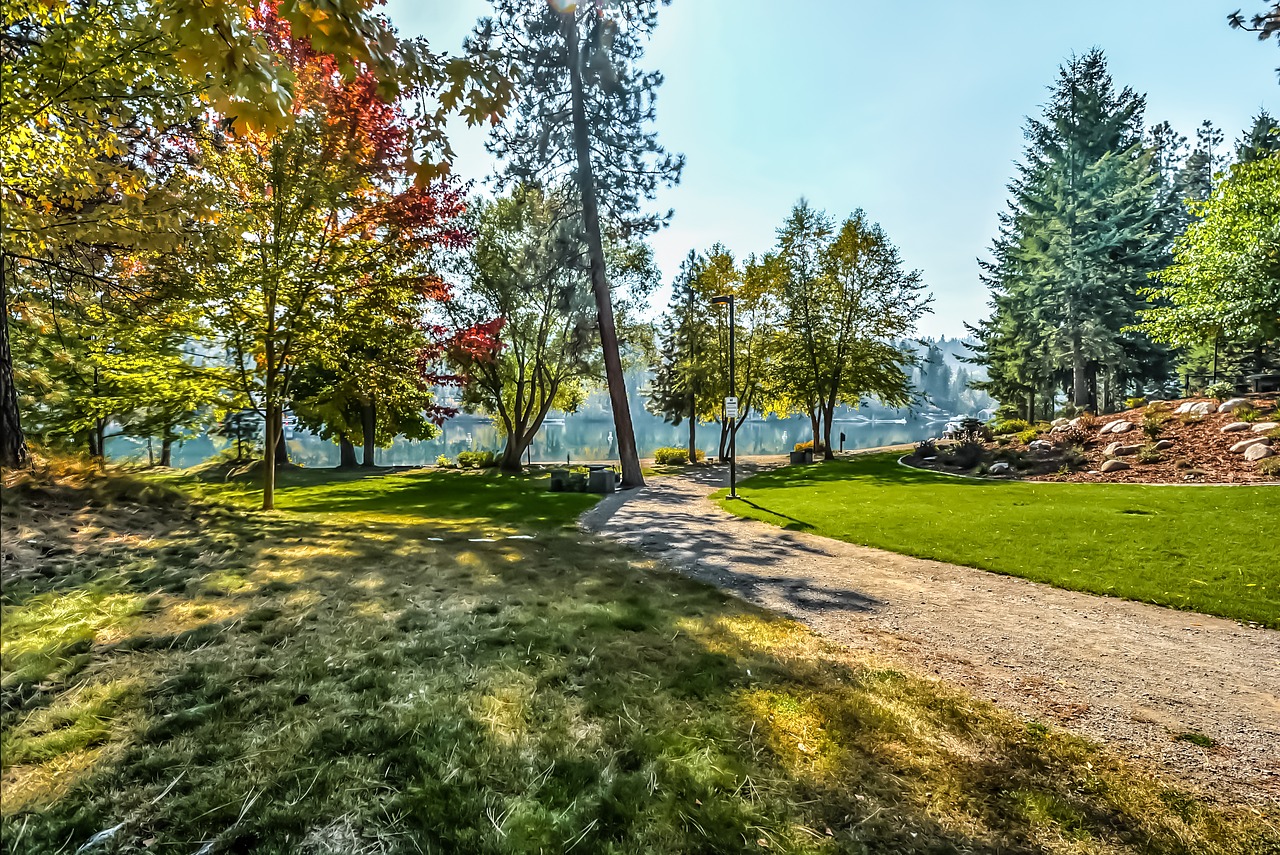 Image - park serene river lawn water
