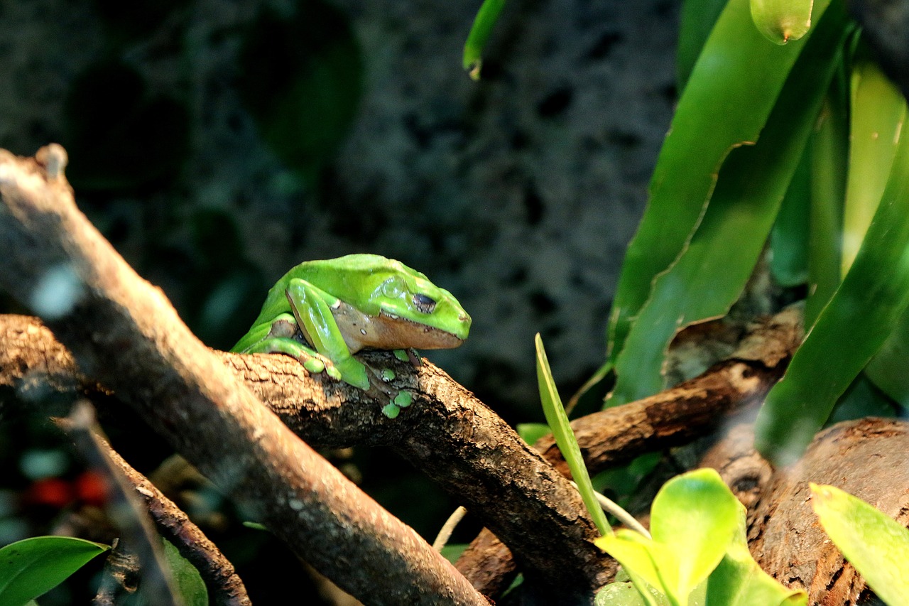 Image - wilhema stuttgart zoo tiergarten